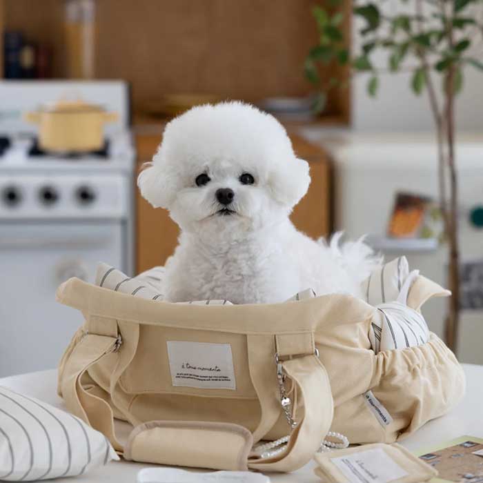 トイプードル・プードルグッズおすすめ決定版18選｜“うちの子愛”が