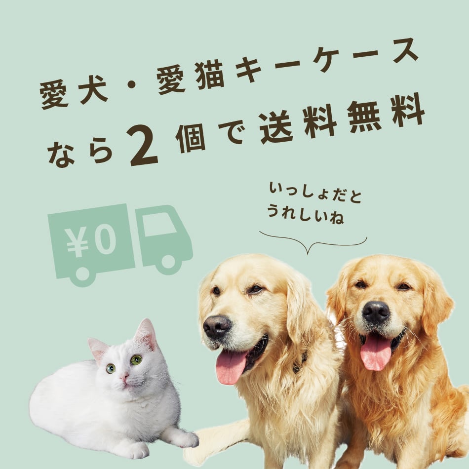 2個以上なら送料無料