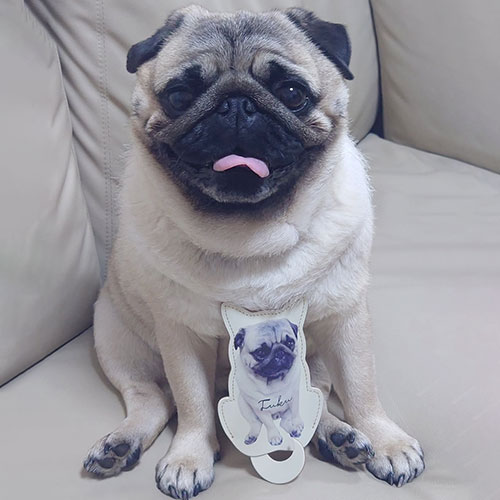 犬の写真でつくる ユーザーの声 口コミ