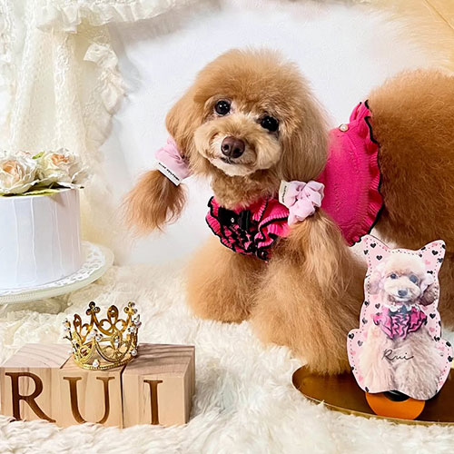 愛犬との素敵な時間 オリジナルグッズの口コミ