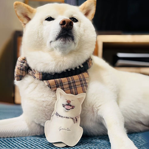 ペットのグッズ作成はデザミンペットにお任せ