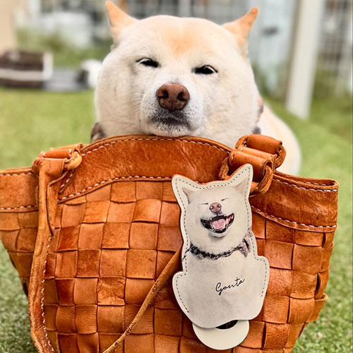 ペットの本革グッズ