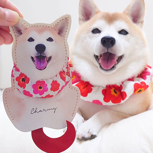 犬のグッズ 口コミとレビュー