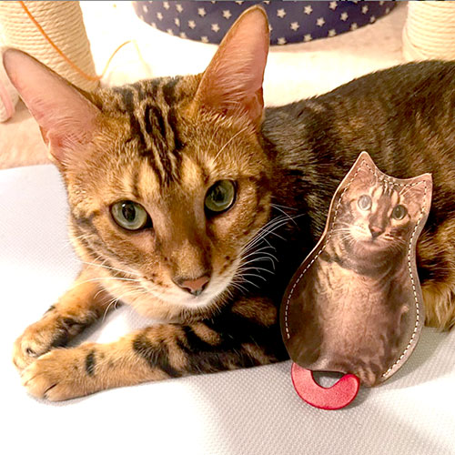 猫の写真がグッズに 使い心地とレビュー