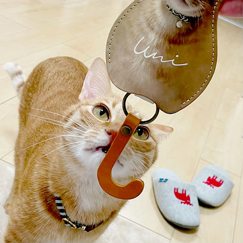 猫のオーダーメイドグッズ お客様の声と使用感
