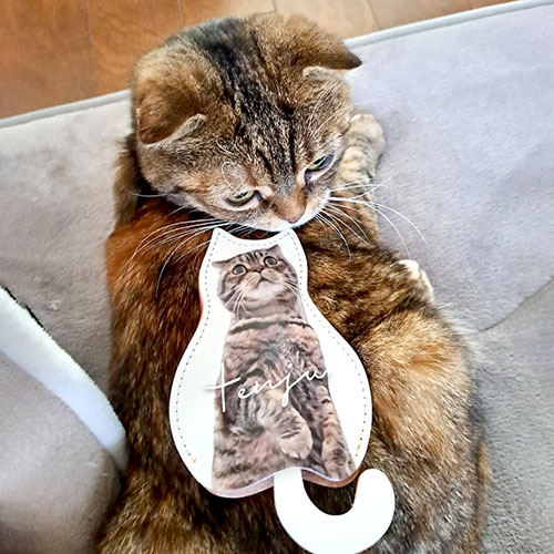 愛猫の写真でオーダーグッズ お客様の使用例