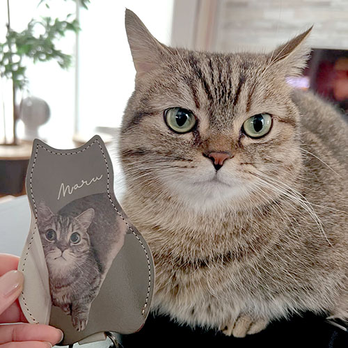 ねこの写真でオリジナルグッズ　実際の使用レビュー