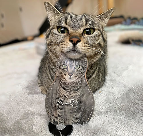 うさぎの写真でオリジナルグッズ 口コミ