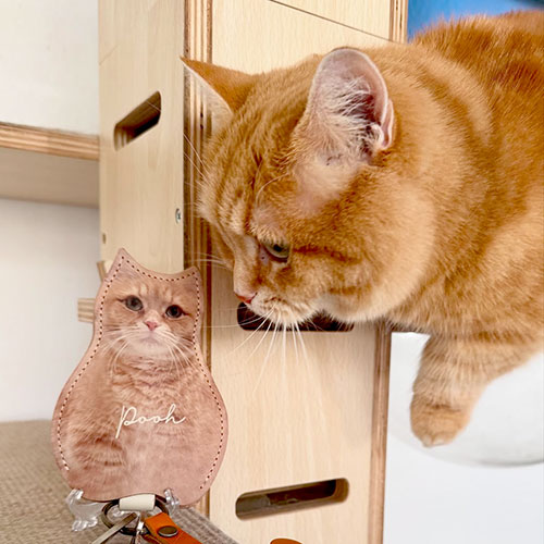 うちの子 猫のオリジナルグッズ作成 ユーザーのレビューと口コミ