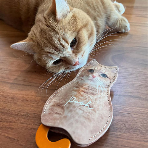 愛猫オリジナルグッズになる　まめ