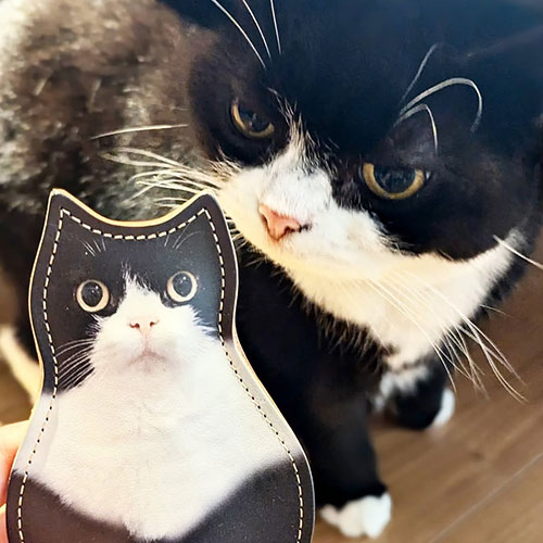 うちの子オリジナルグッズ使用例