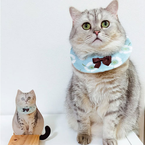 愛猫の写真でオーダー お客様の感想