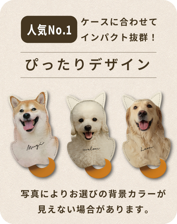 愛犬キーケースぴったりデザイン