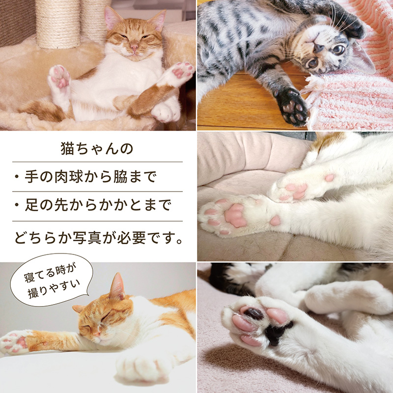 愛猫グッズ ペンケースの写真選び