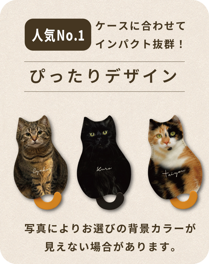愛猫キーケースぴったりデザイン