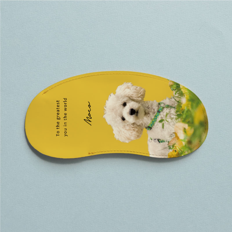 愛犬のメガネケースはカラーやデザインを選べる