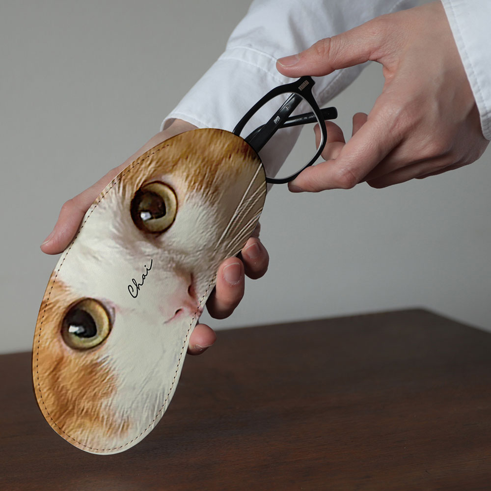 母の日 ペットグッズ 実用的で使いやすいメガネケース 老眼鏡ケース